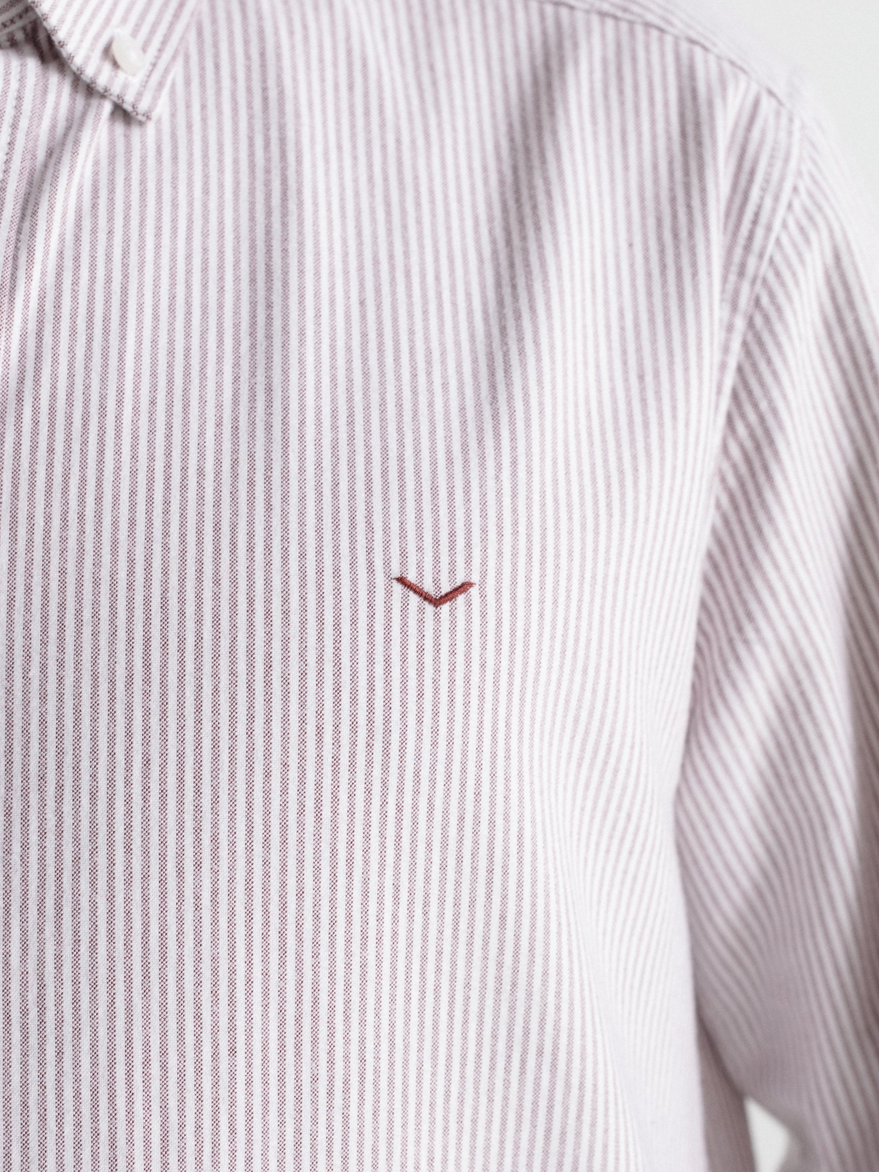 Camisa regular oxford rayas