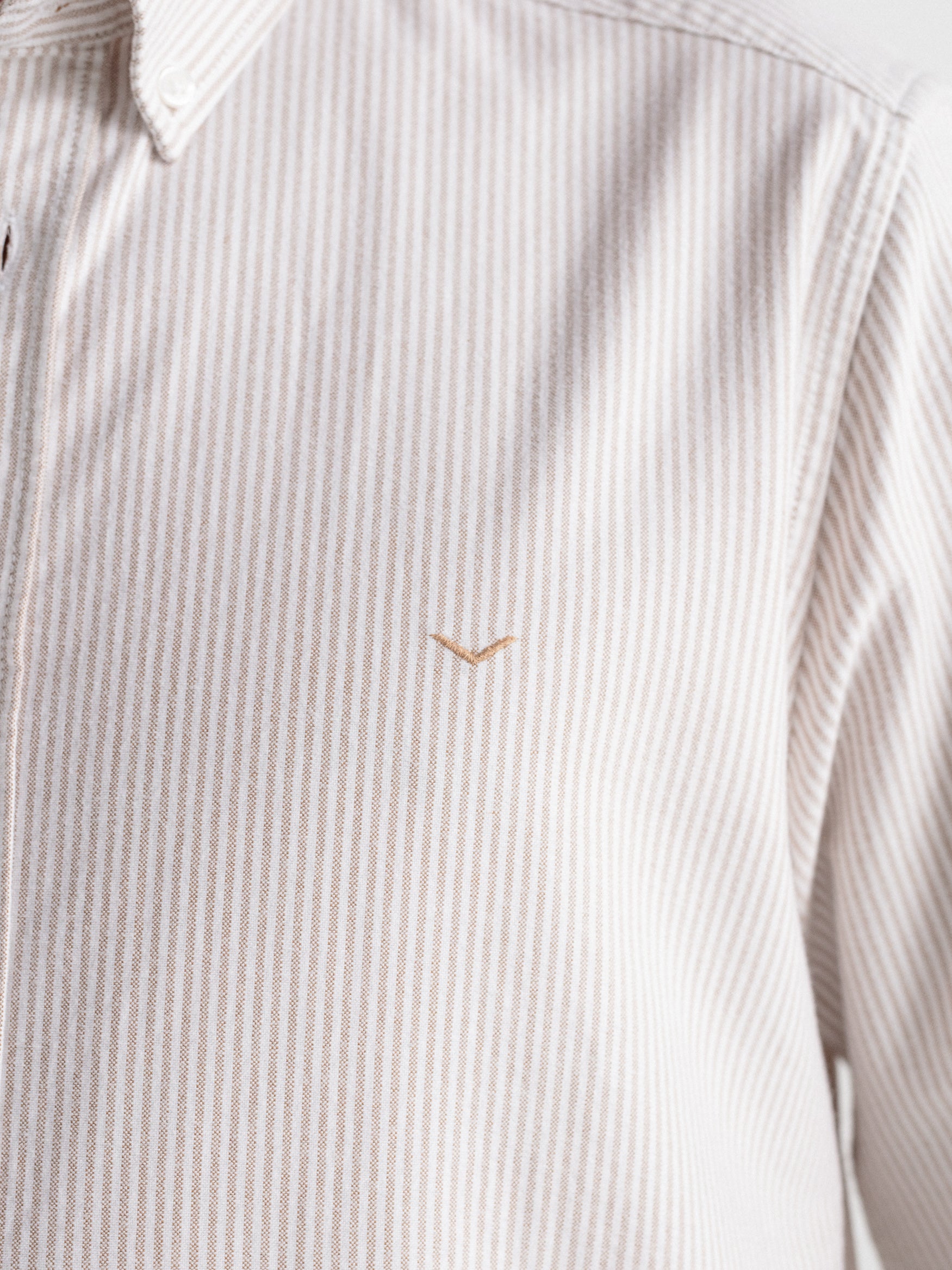 Camisa regular oxford rayas