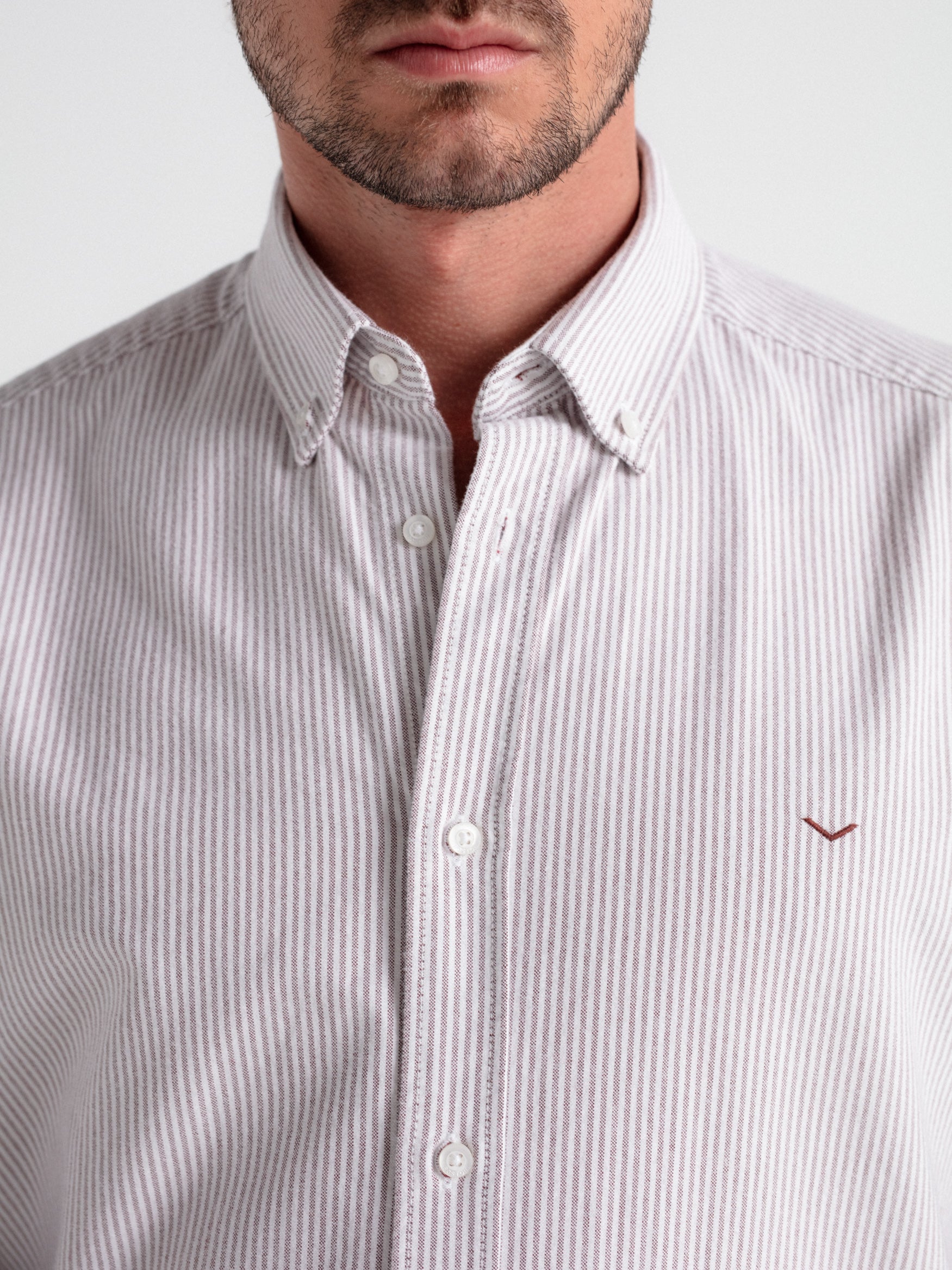 Camisa regular oxford rayas
