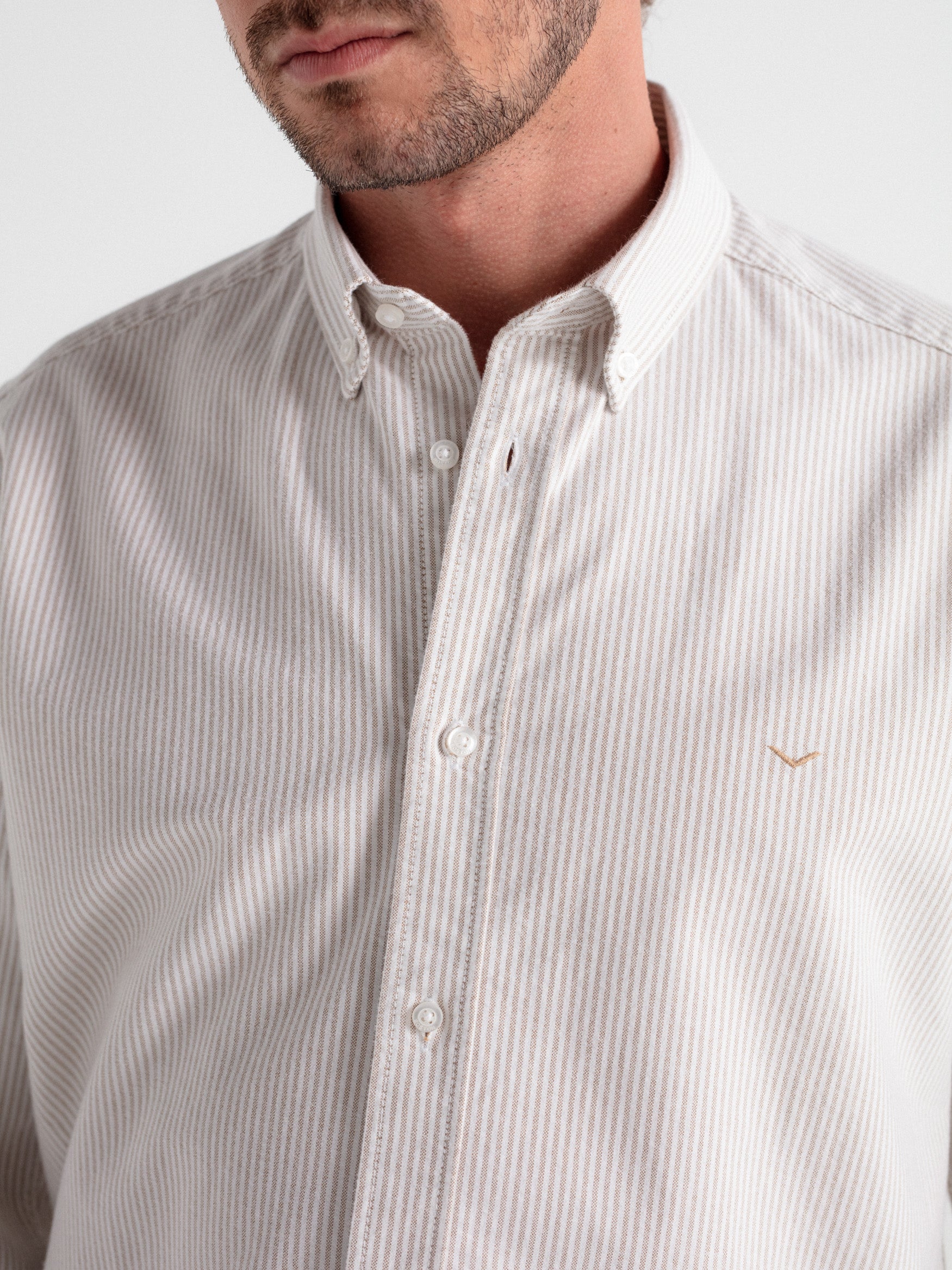 Camisa regular oxford rayas