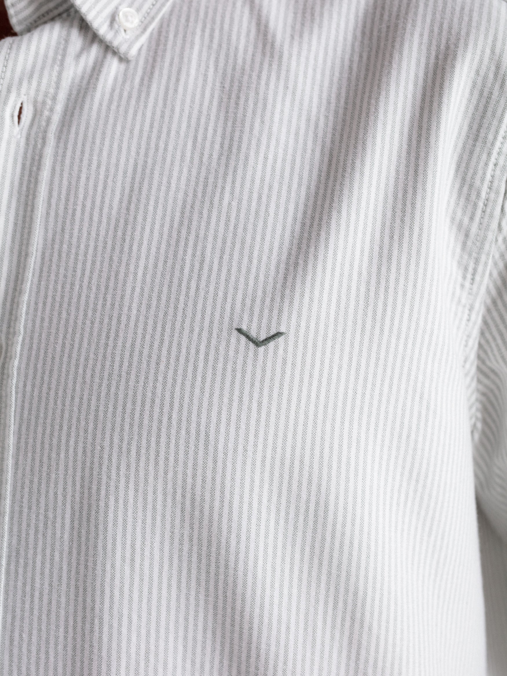 Camisa regular oxford rayas