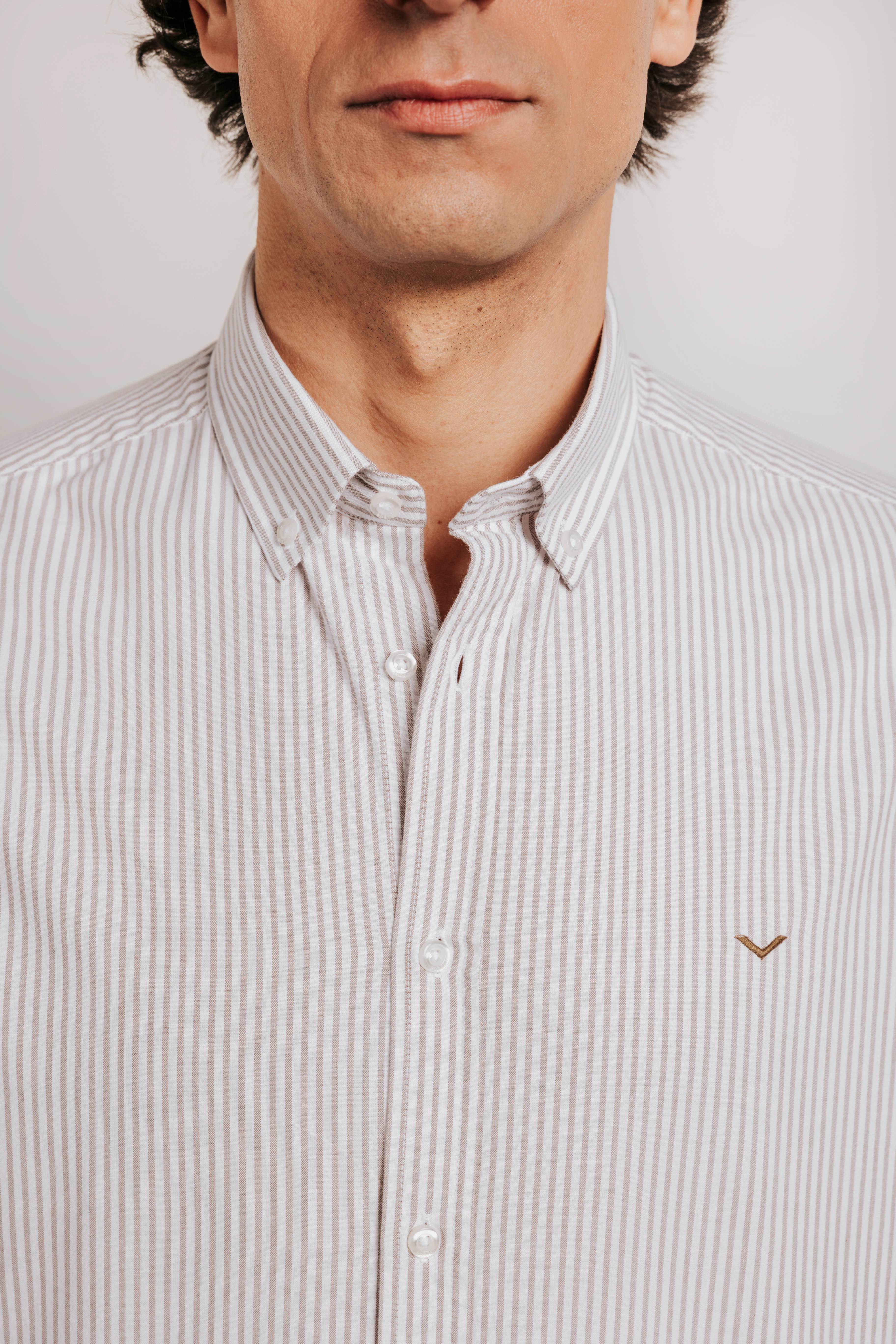 Striped Oxford Shirt