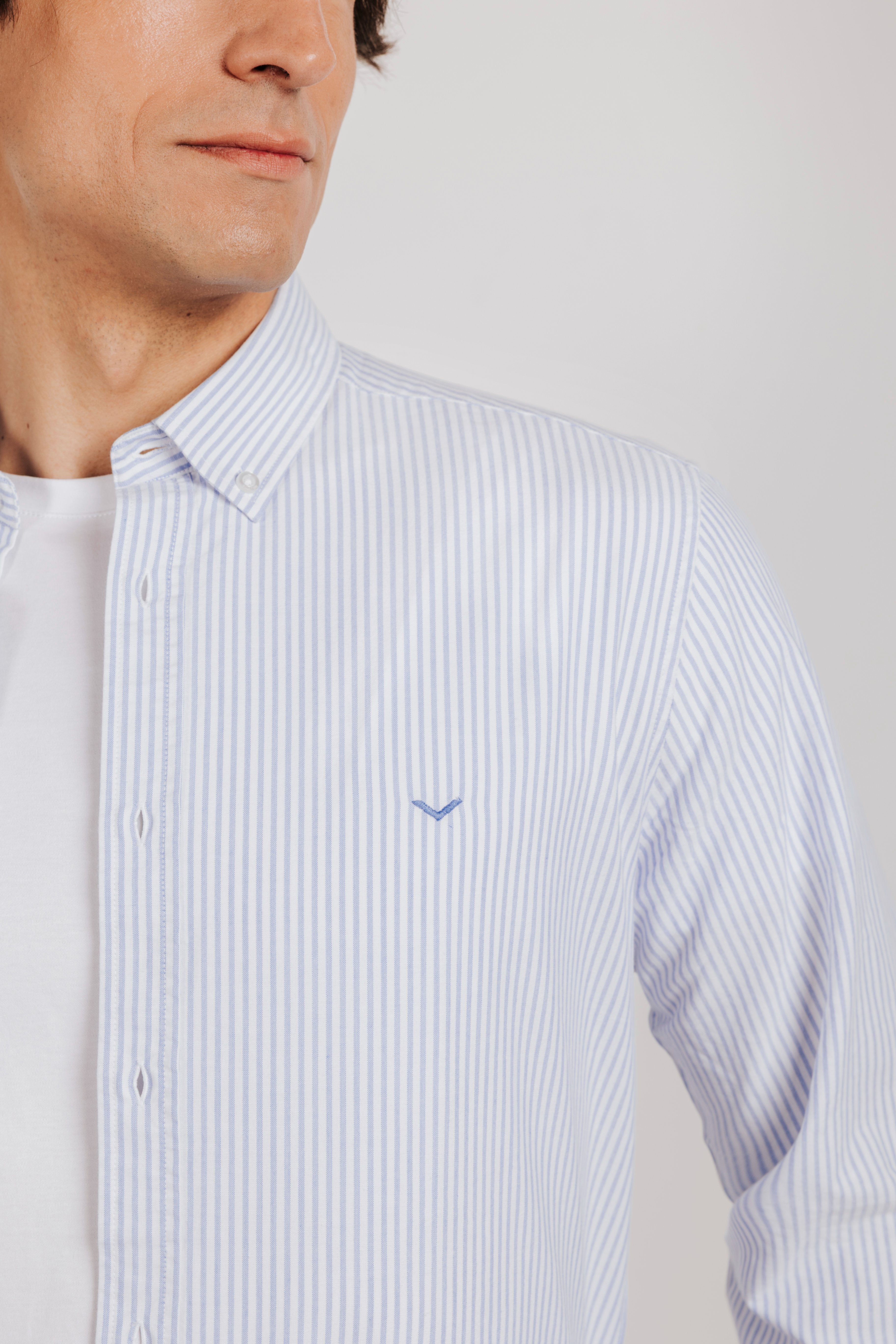 Striped Oxford Shirt