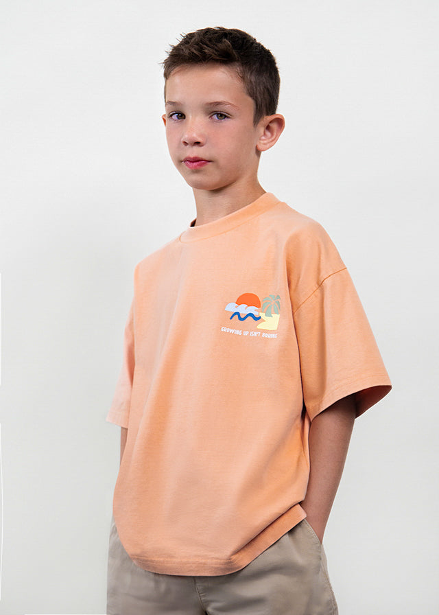 Camiseta niño ilustración The Boston Kids