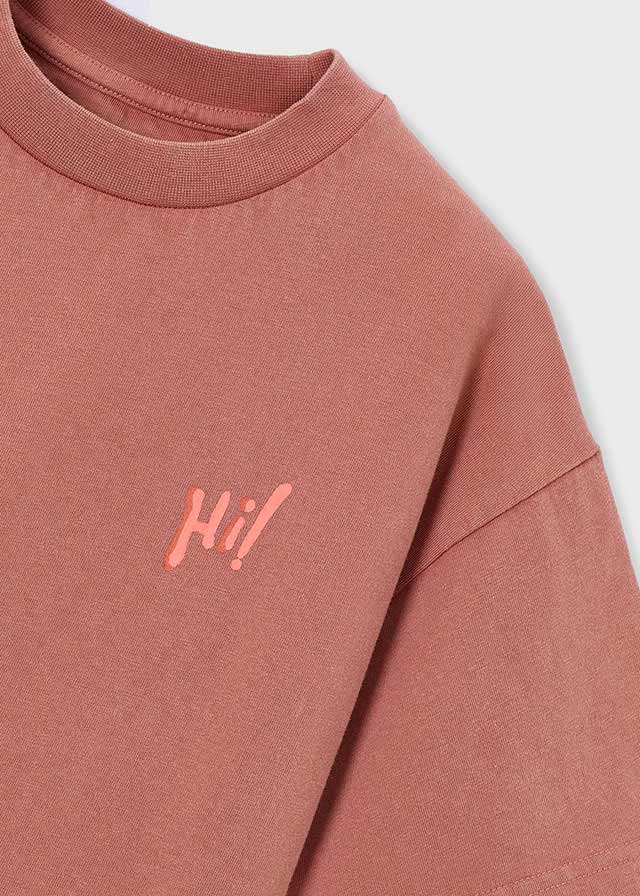 Camiseta niño tortuga The Boston Kids