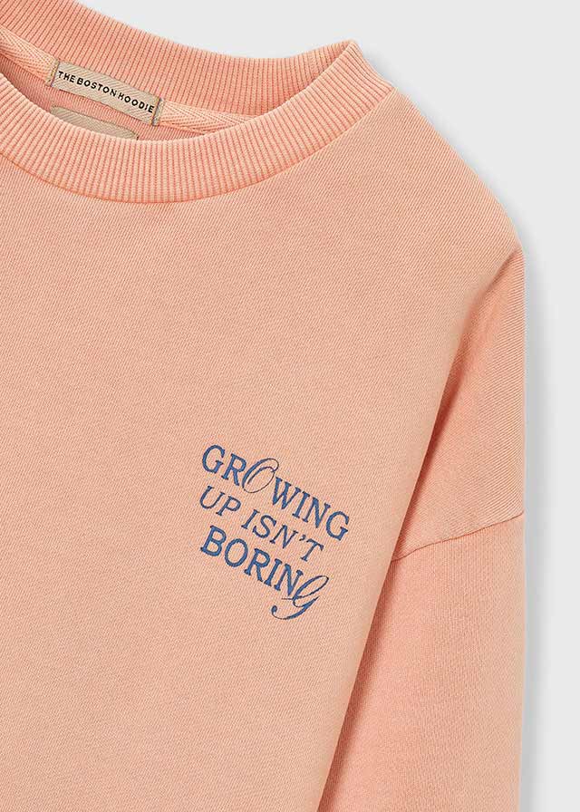 Sudadera niño Growing Up The Boston Kids