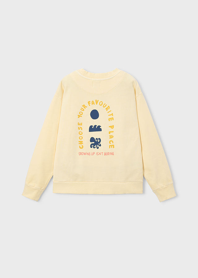 Sudadera niño Boston art The Boston Kids