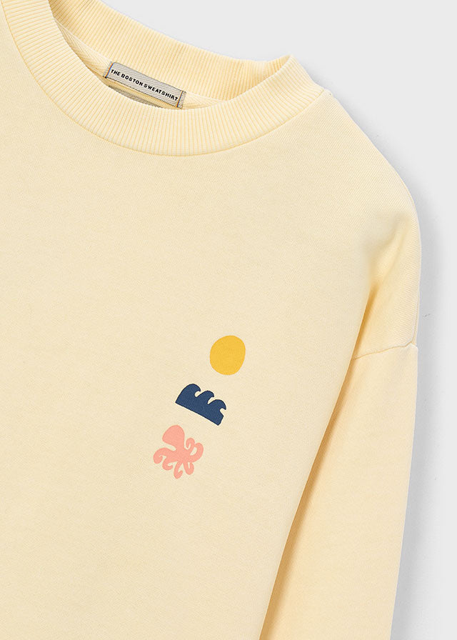 Sudadera niño Boston art The Boston Kids