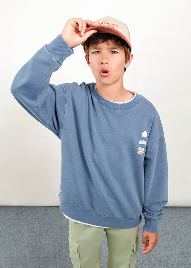 Sudadera niño Boston art The Boston Kids