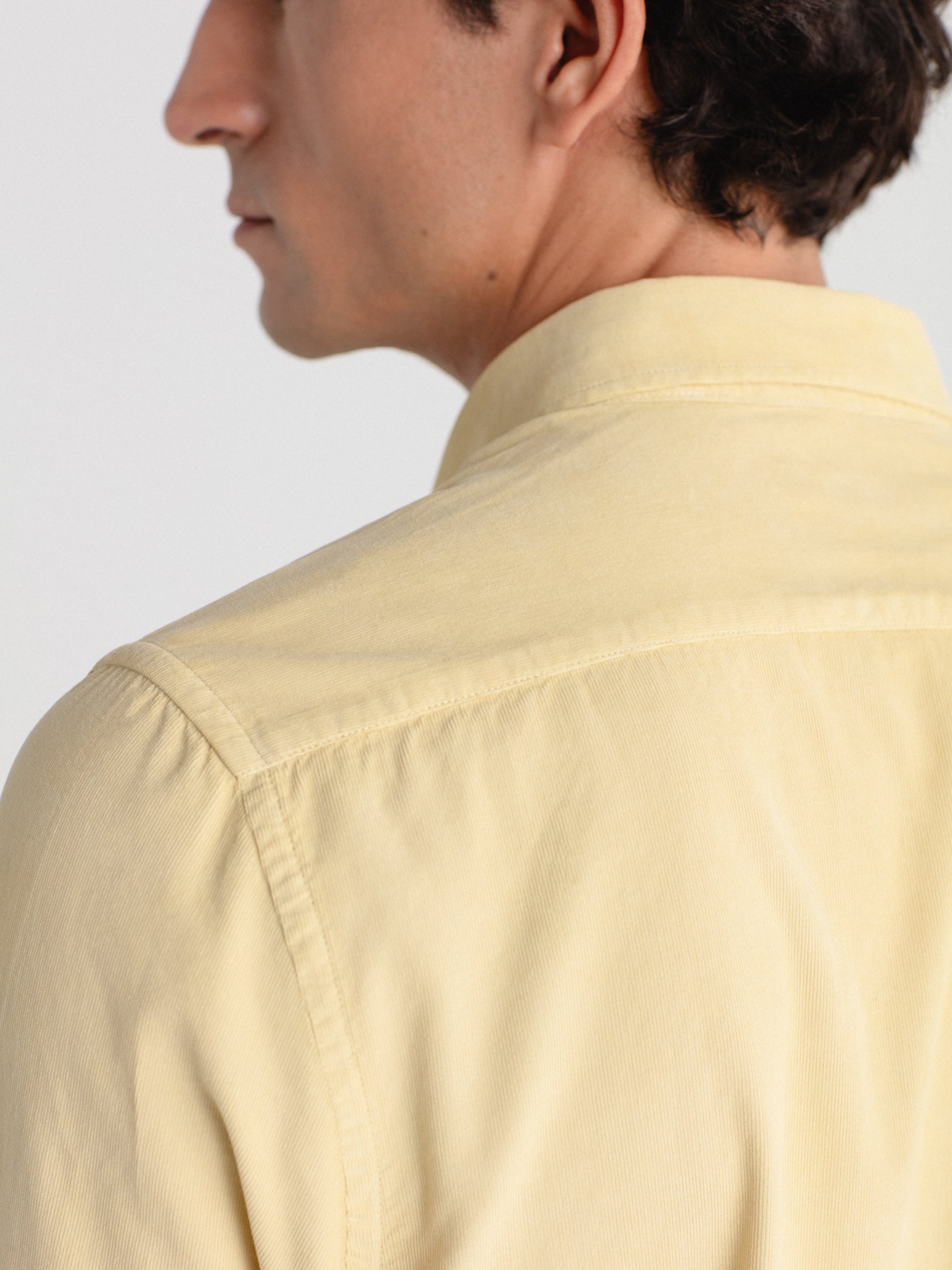 Camisa regular fit micropana