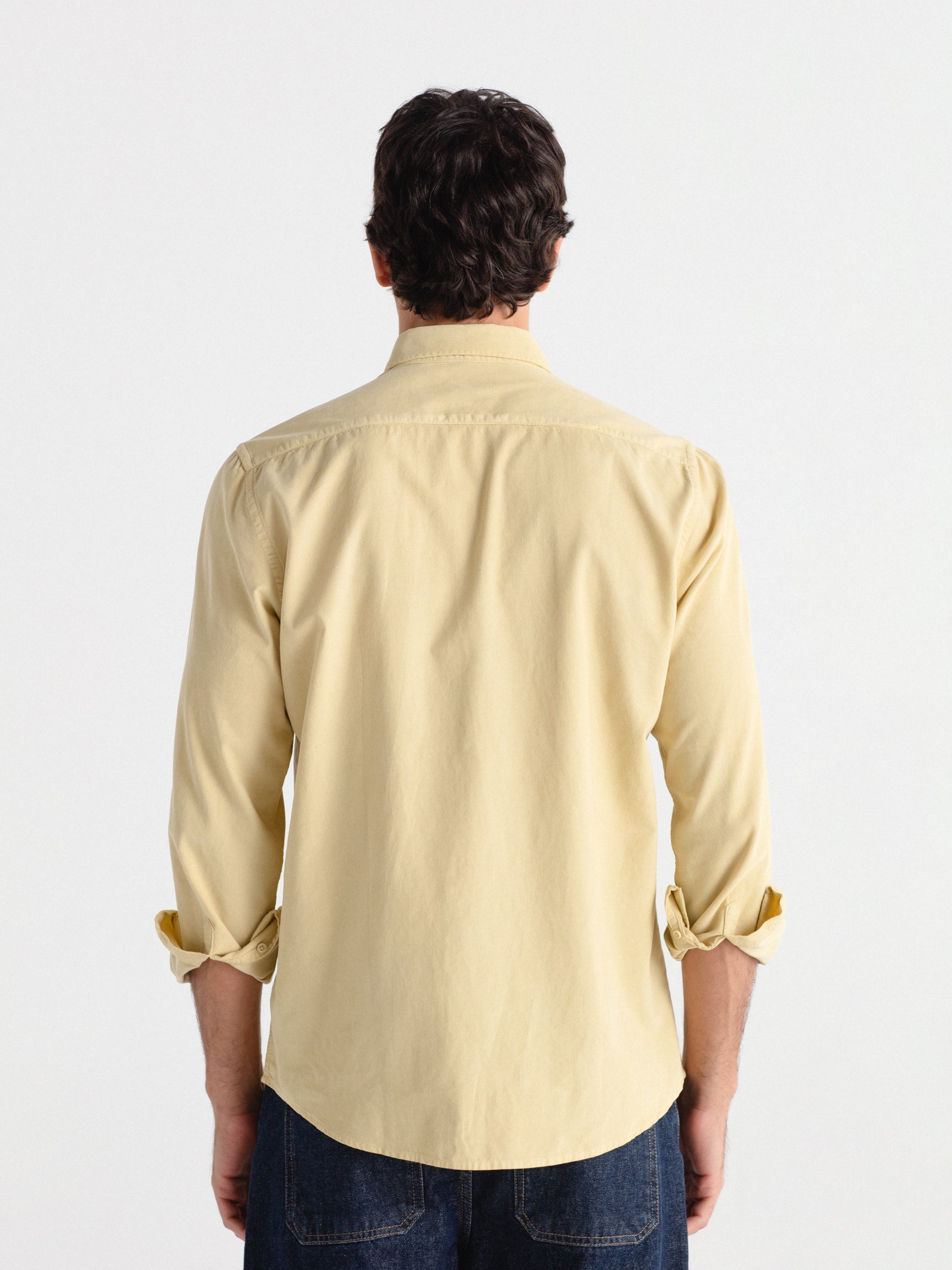 Camisa regular fit micropana