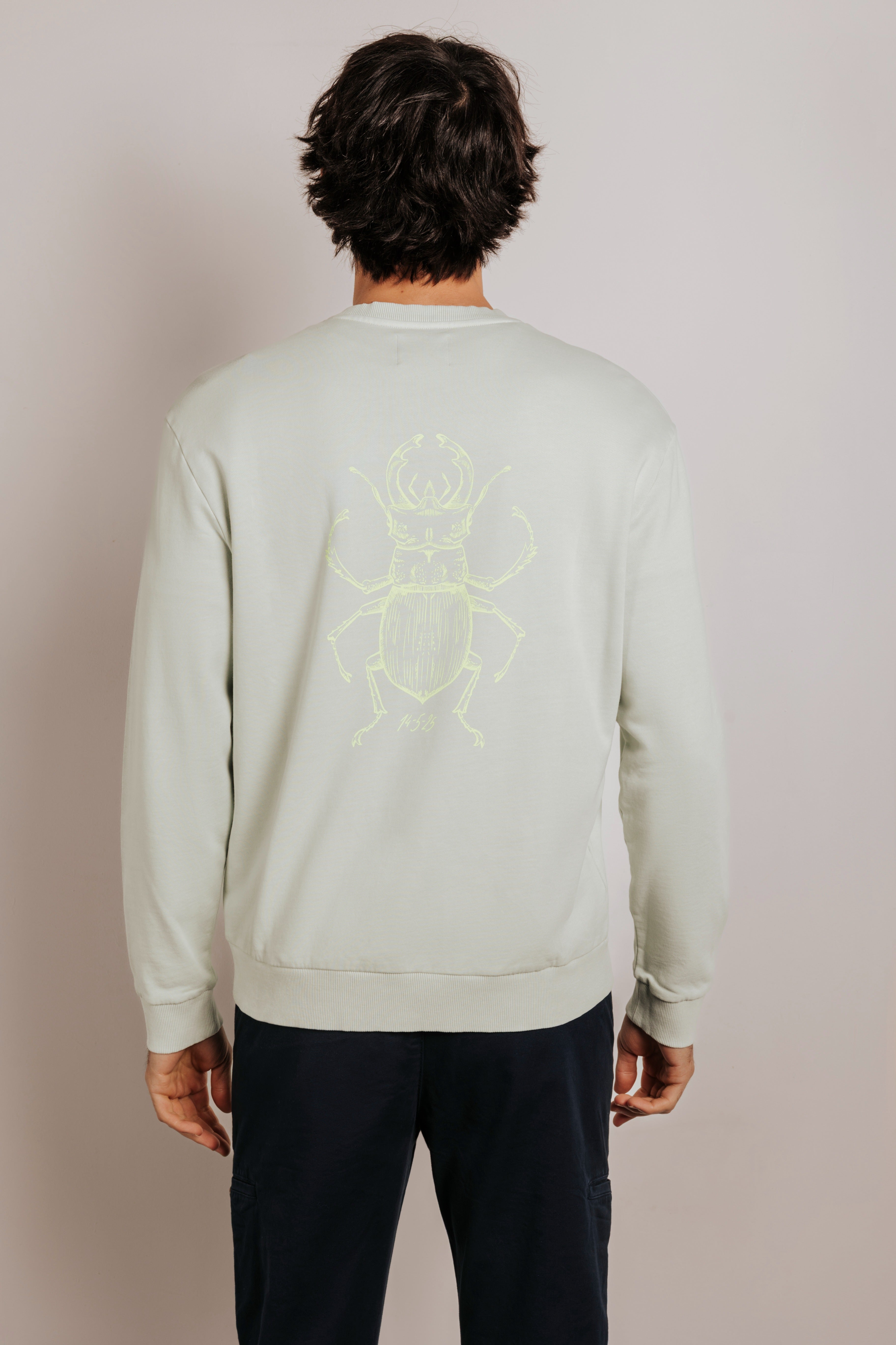Sudadera confort gráfica escarabajo