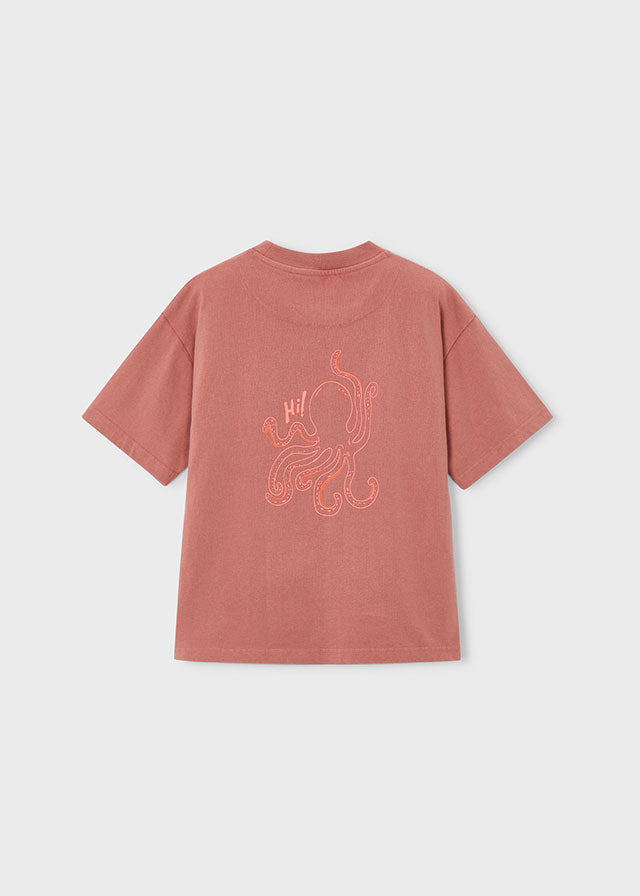 Camiseta niño tortuga The Boston Kids
