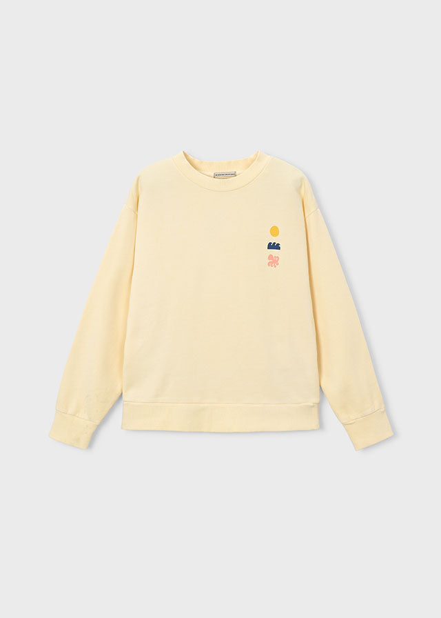 Sudadera niño Boston art The Boston Kids