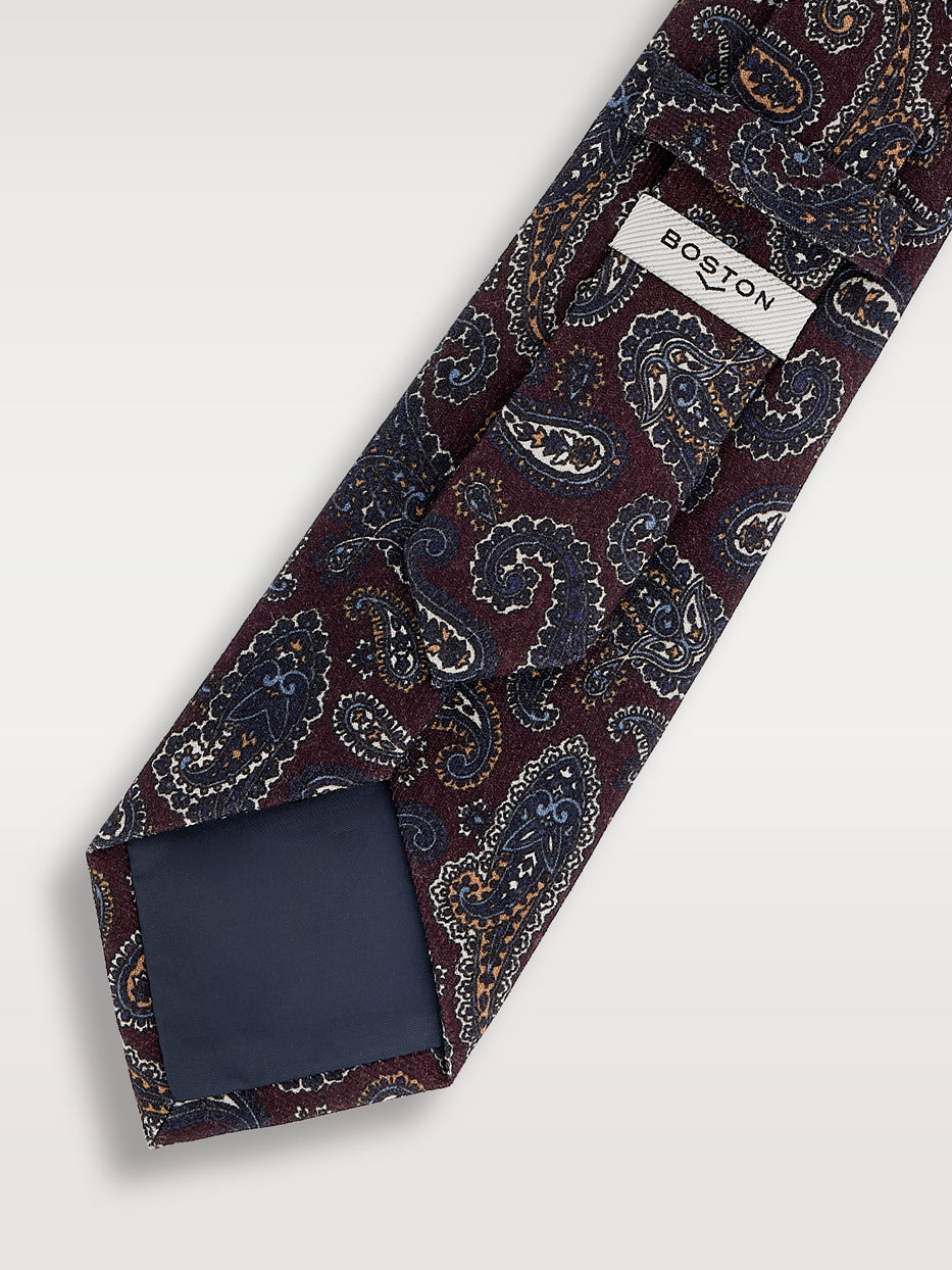 Corbata 100% pashley